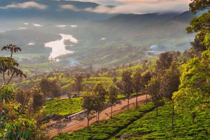 Honeymoon Resorts In Munnar
