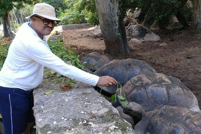 turtle hatchery