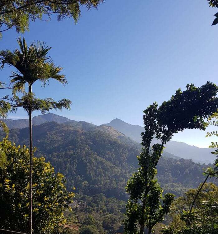 the hilly areas of Thekkady