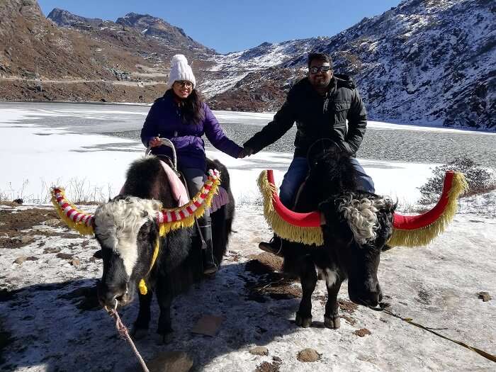 yak ride