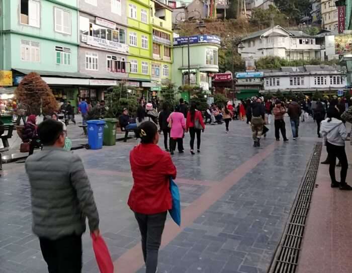 reached to Darjeeling