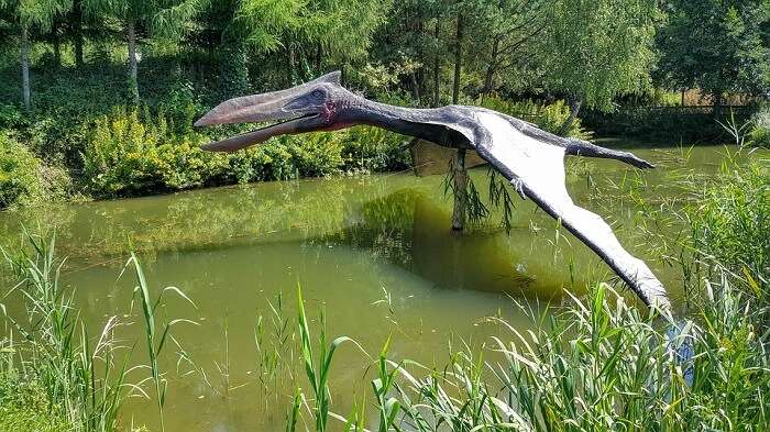 Jurassic Water Park Bangkok