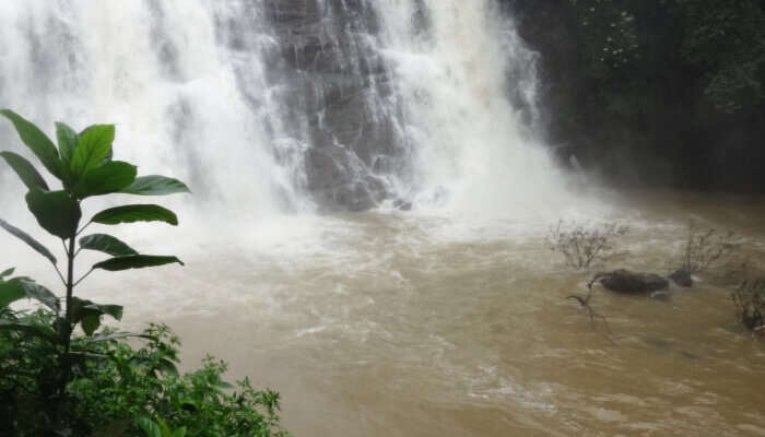 Kalhatty Waterfalls, one of the best natural places to visit in Ooty