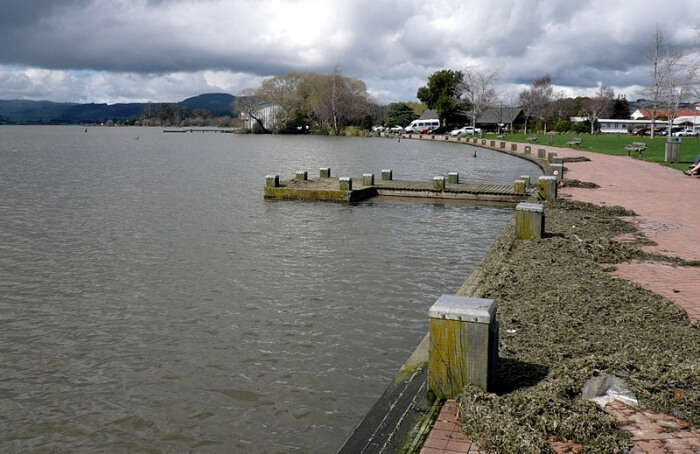 Lake Rotorua