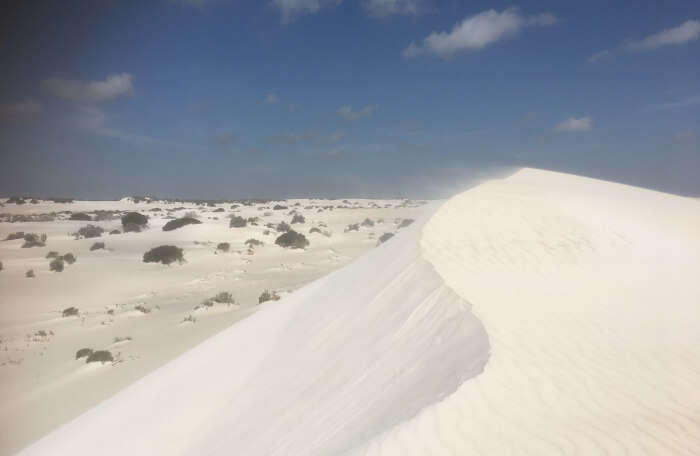 Lancelin