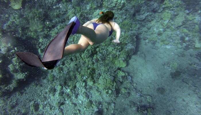 go snorkeling