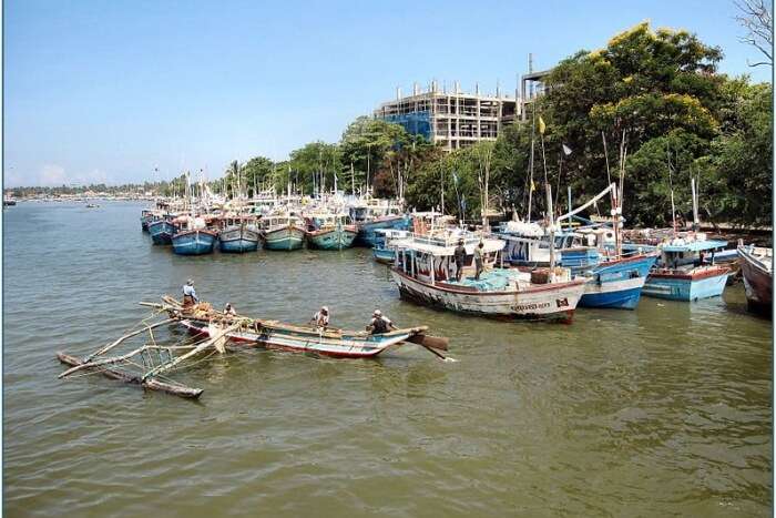 Negombo Lagoon