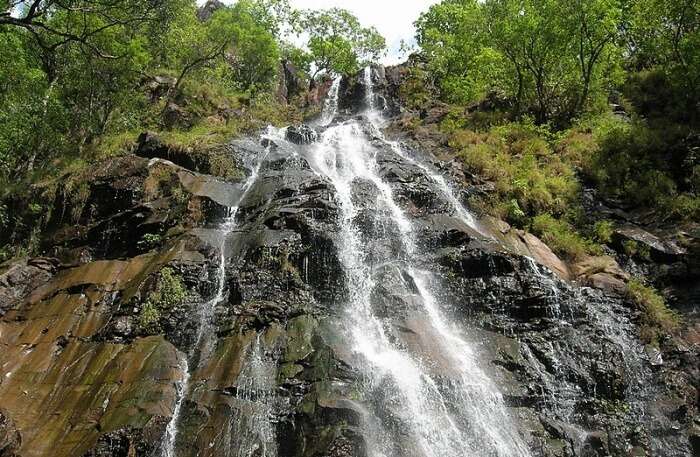 Waterfall View