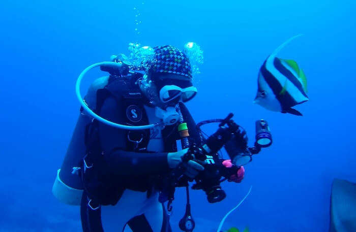 Diving Underwater Sea Portrait Divers