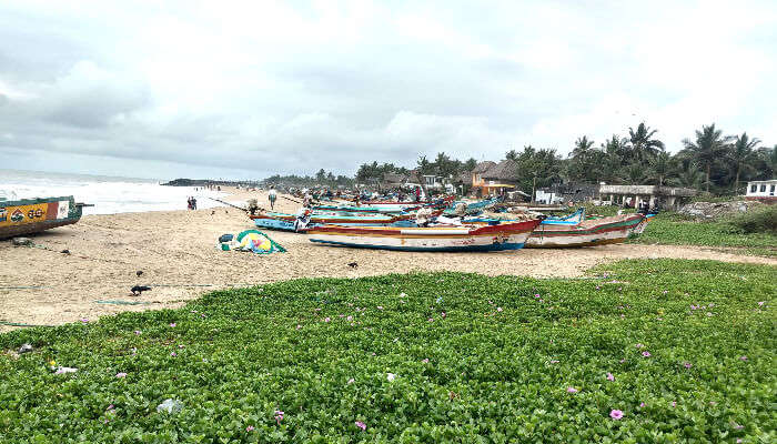 Serenity Beach in Pondicherry