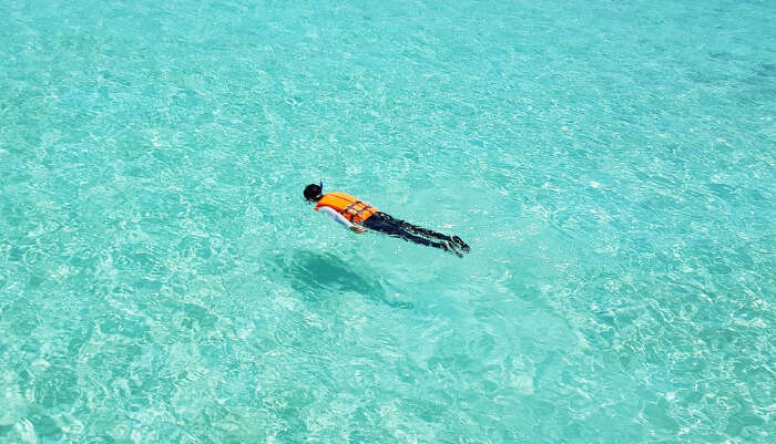 Snorkeling In Maldives Cost