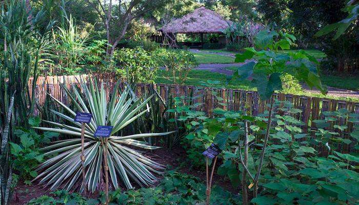 Spend an evening at the Pha Tad Ke Botanical Gardens