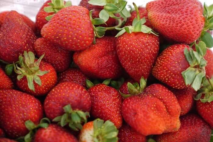 Strawberry Farm