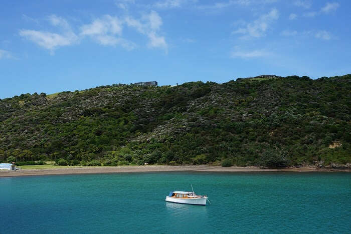 WAIHEKE ISLAND