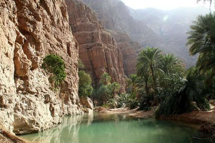 Wadi Shab Tours