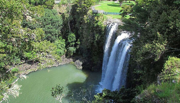 Whangarei Falls