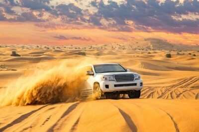Best Day trips from Abu Dhabi