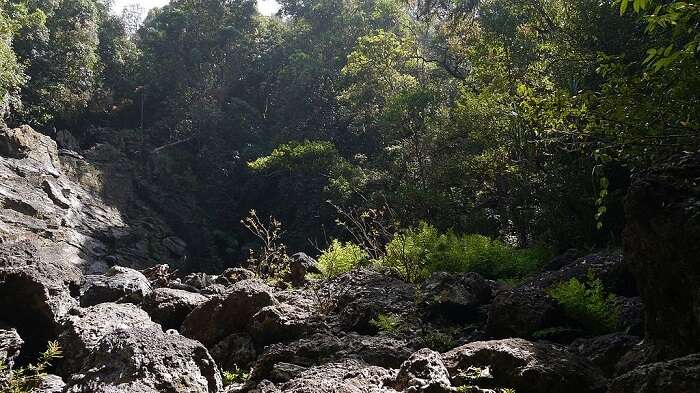 jogi gundi falls