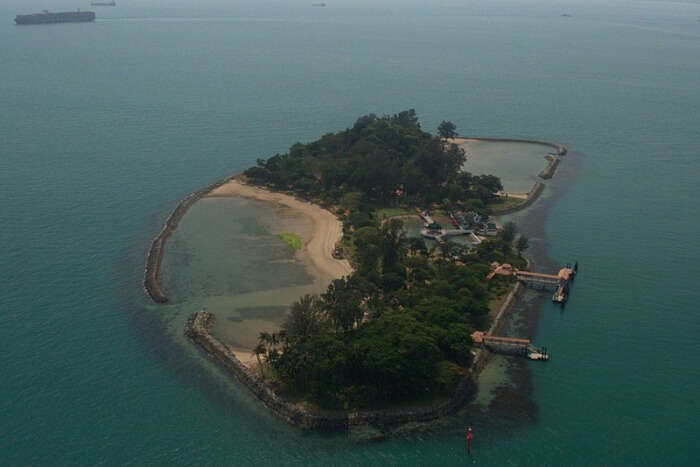 island with trees