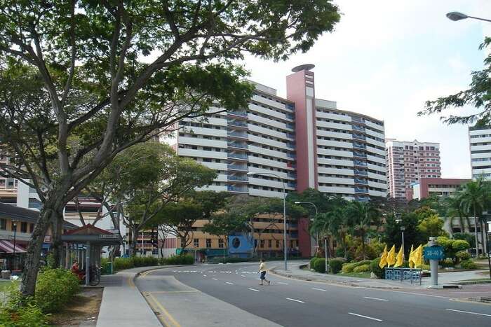 buildings and trees