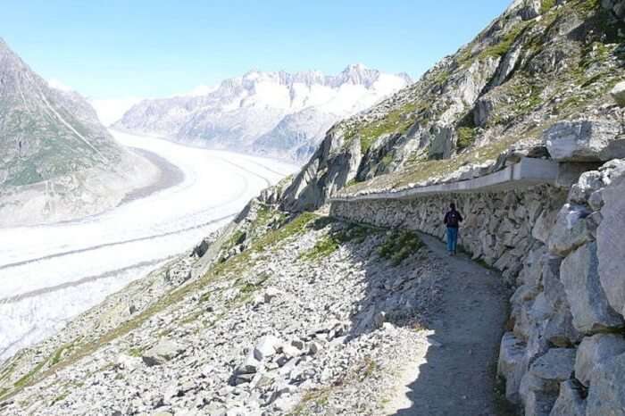 Aletsch Glacier Trail