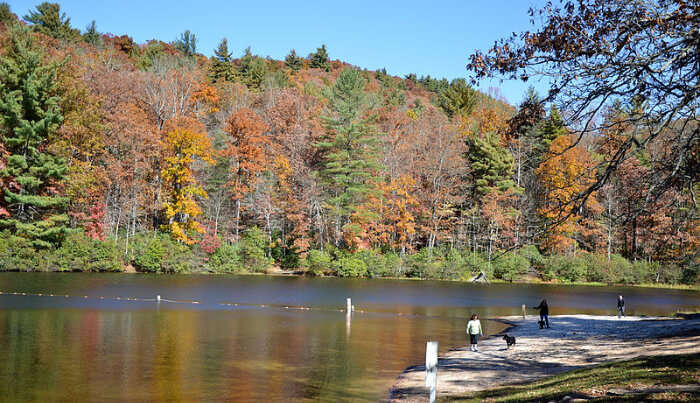 Chattahoochee National Forest