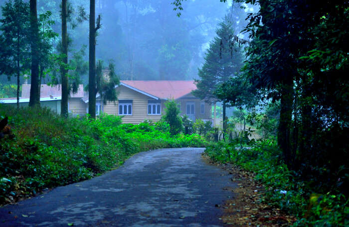 A house in the hill