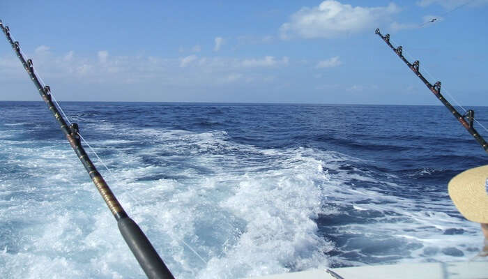 Deep Sea Fishing