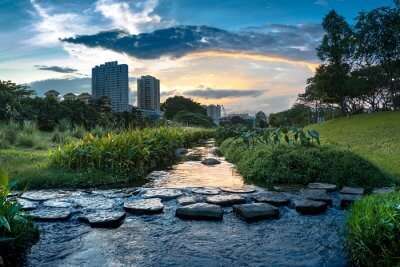 Fascinating Places To Visit Near Ang Mo Kio When Exploring Singapore