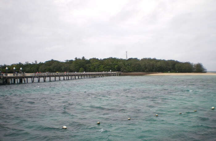 Green Island In Queensland