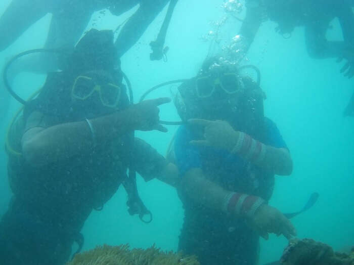 Getting a glimpse of the mesmerizing underwater