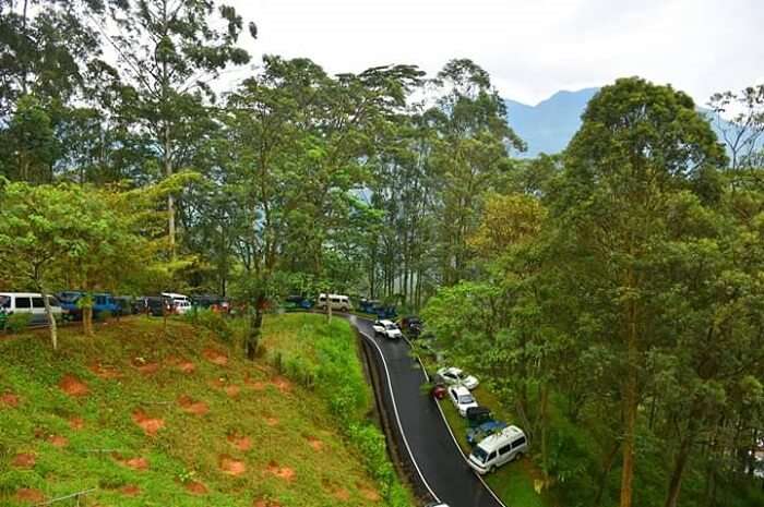 view of the green valley