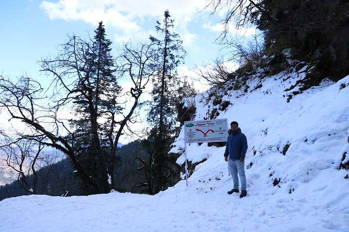 snow covered peak