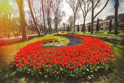 International Flower Festival