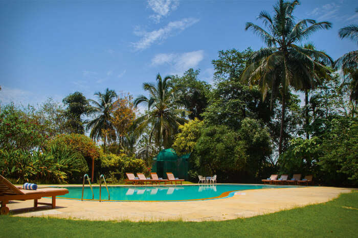 Kairali - The Ayurvedic Health Resort, Kerala (1)