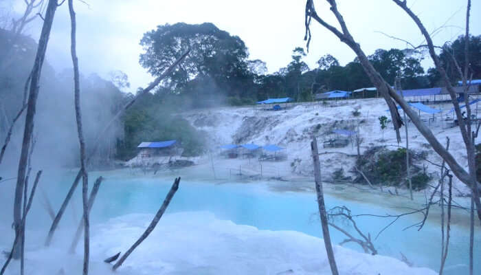 hot spring surrounded with trees