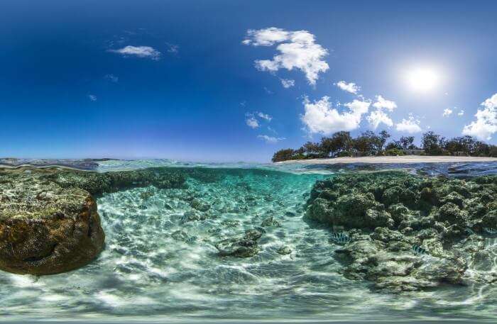 Lady Elliot Island View