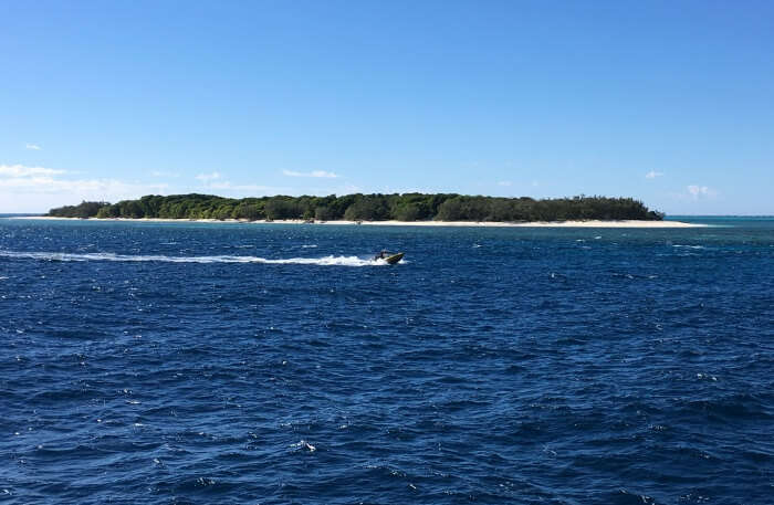 Lady Musgrave Island