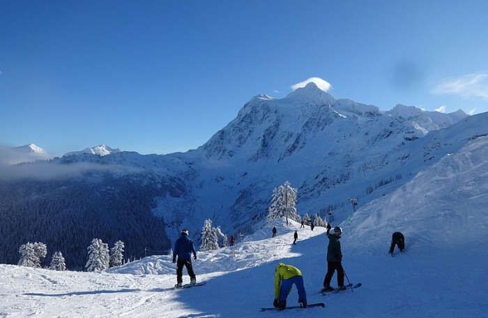 Mt. Baker Ski Area