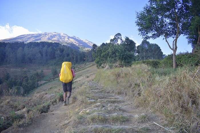 person walking with a bag