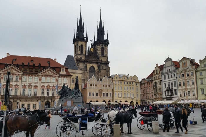 horses standing in the old town square region