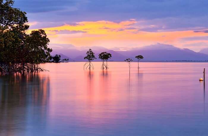 Orpheus Island In Queensland