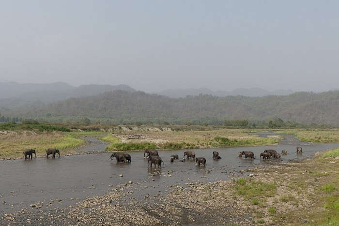 Ramganga