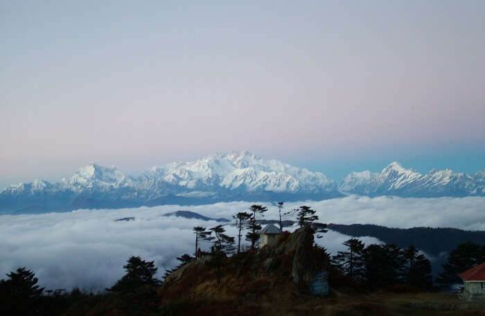 Sandakphu Trek In Sikkim