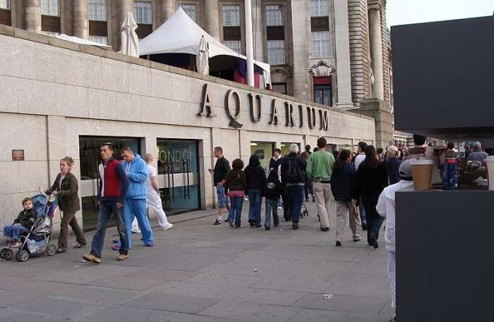 Sea Life London Aquarium View