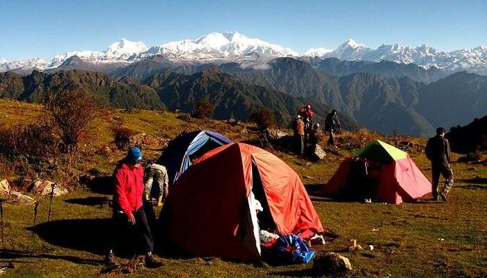 Singalila Trek