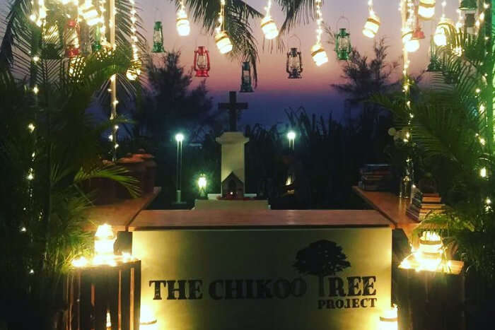 The Chikoo Tree Project