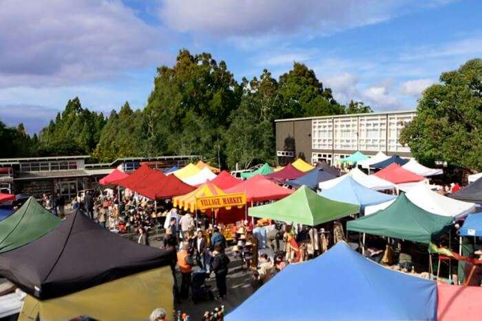 Titirangi Village Market