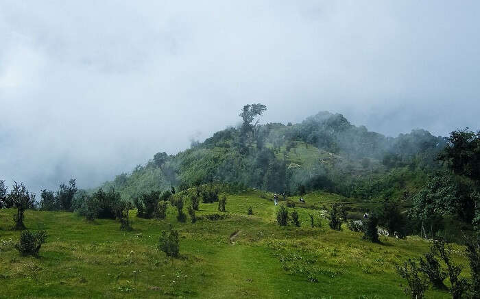 Singalila Trek