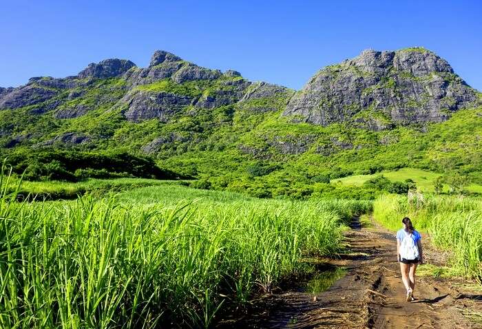 A view of mountain in Mauritius